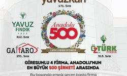 Anadolu’dan 500 Büyük Şirket Listesine Giresun’dan 4 Firma Girdi