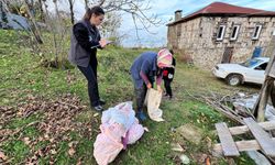 Kahverengi Kokarca Kışlak Mücadelesinde Bir Püf Noktası