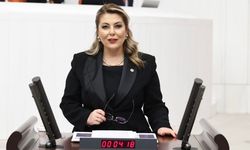 Milletvekili Gezmiş: Güney Çevre Yolu Giresun'a Acilen Yapılmalı