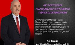 Milletvekili Ali Temür: Milletimizin Sesine Kulak Vereceğiz, Gönüllere Gireceğiz