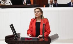 Milletvekili Gezmiş: Halk Sağlığı Ciddi Tehdit Altında!