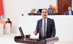 Sakarya Milletvekili Lütfi Bayraktar: “Fındık 7 Dolara, İhracatımız 2,5 Milyar Dolara Ulaştı”