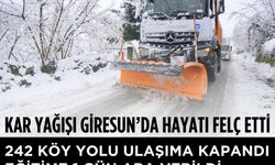 Giresun’da Kar Yağışı Köylerde Hayatı Olumsuz Etkiledi
