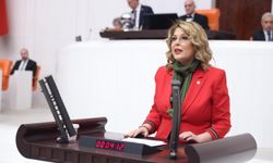 Milletvekili Elvan Işık Gezmiş: Giresun Üvey Evlat mı?