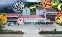 Avrupa Yakası’na Kurbanlık Hayvan Sevkine İlişkin Duyuru