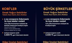 Bakanlıktan İmalat Sanayine 100 Milyar TL Destek Paketi