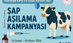 2026 Yılı İlkbahar Dönemi Şap Aşılama Kampanyası Başladı