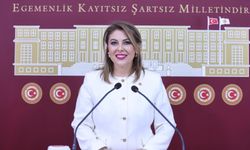 Milletvekili Gezmiş: Fındık Bahçelerini Madenlere Parselletmeyeceğiz
