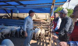 Tarım Müdürü Müdürü Yılmaz Kurban Satış Yeri Denetimine Katıldı