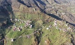 Dereli Küknarlı Köyü Grup Yolu Satı Asfalta Kavuşuyor