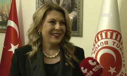 Milletvekili Gezmiş: Doğal Yaşam Alanlarımız Tehdit Altında