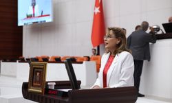 Milletvekili Gezmiş, Samsun-Sarp Demiryolu İçin Önerge Verdi