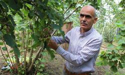 GZO Başkanı Karan: “Fındık Üreticisi Kendi Ürününün Kölesi Haline Geldi”