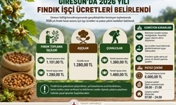 Giresun'da 2026 Yılı Fındık İşçi Ücretleri Belirlendi