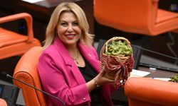 Fındık Sepeti ve Kara Lastik TBMM'in Gündeminde