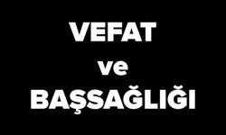 Giresunlu Bir Çınarımız Prof. Özer Sezgin'i Kaybettik