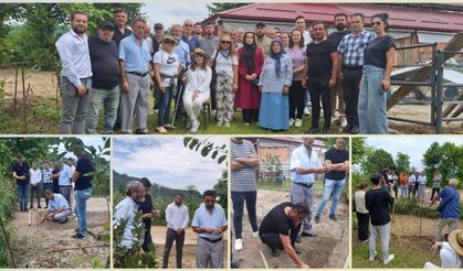 Giresun’da Salep Yetiştiriciliği Yaygınlaşıyor