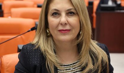 Milletvekili Gezmiş Tirebolu-Torul Yolunu TBMM'e Taşıdı