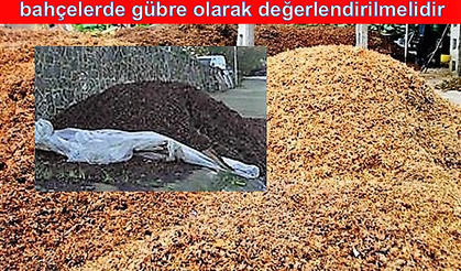 Fındık Zurufu, Bahçelerde Gübre Olarak Değerlendirilmeli