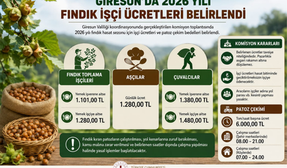 Giresun'da 2026 Yılı Fındık İşçi Ücretleri Belirlendi