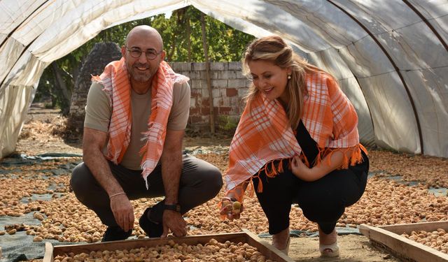 Milletvekili Gezmiş: Aydın İle Giresun Arasında Fındık-İncir Köprüsü Kuracağız