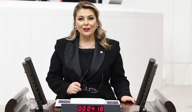 Milletvekili Gezmiş: Güney Çevre Yolu Giresun'a Acilen Yapılmalı