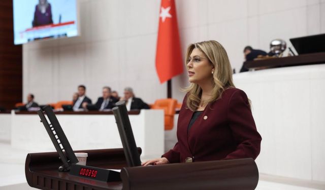 Millitvekili Gezmiş: “Giresun’un ihtiyaçları bütçede karşılık bulmalıdır”