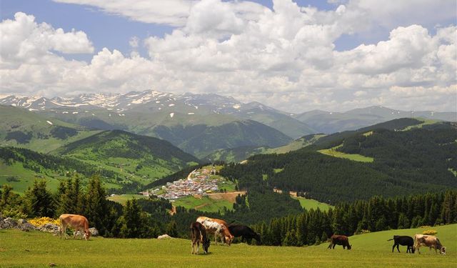 Kümbet Yaylası’nda Turizm Endişesi: “İlgisizlik Gönül Yarasıdır”