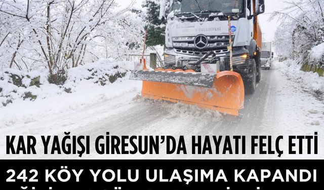 Giresun’da Kar Yağışı Köylerde Hayatı Olumsuz Etkiledi