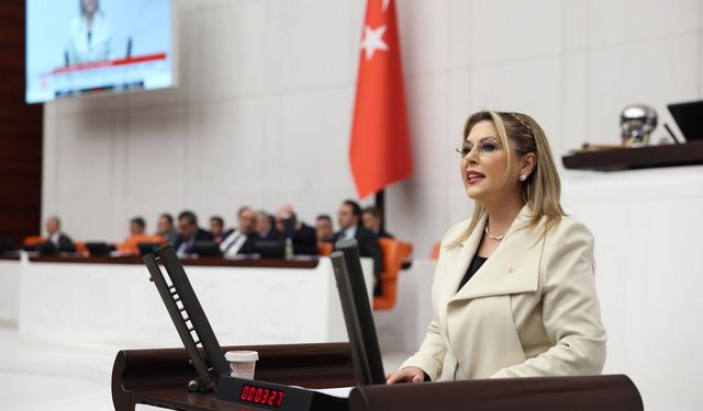 Gezmiş: Söz Verilen Projeler Yatırım Programlarında Yok