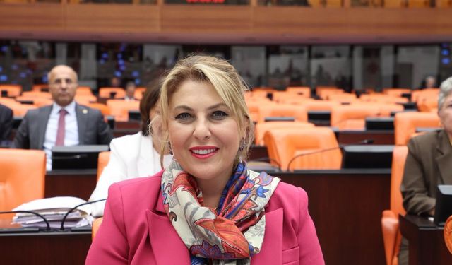 TBMM Giresun Milletvekili Elvan Işık Gezmiş: Emekli Maaşı Lütuf Değil, Haktır