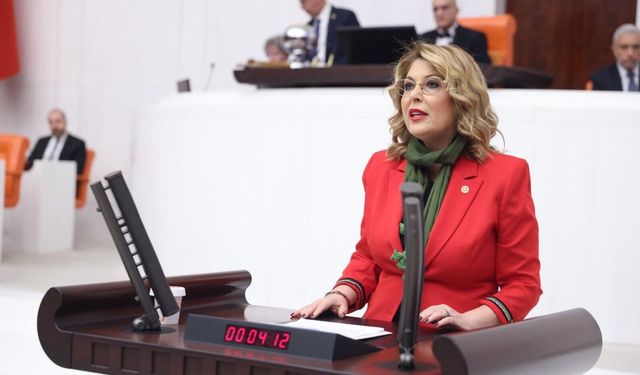 Milletvekili Elvan Işık Gezmiş: Giresun Üvey Evlat mı?