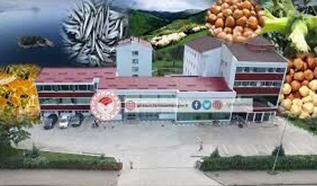 Avrupa Yakası’na Kurbanlık Hayvan Sevkine İlişkin Duyuru