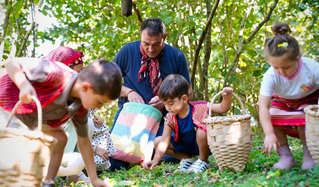Başkan Köse Fındık Hasadını Çocuklarla Yaptı