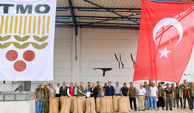 Giresun’da 2026 Yılı Fındık Alım Sezonu Başladı
