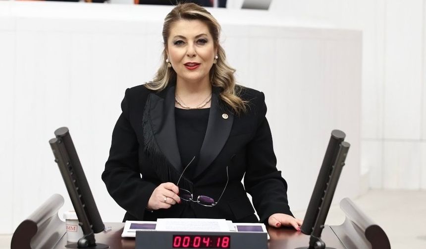 Milletvekili Gezmiş: Güney Çevre Yolu Giresun'a Acilen Yapılmalı