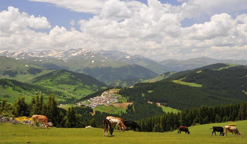 Kümbet Yaylası’nda Turizm Endişesi: “İlgisizlik Gönül Yarasıdır”