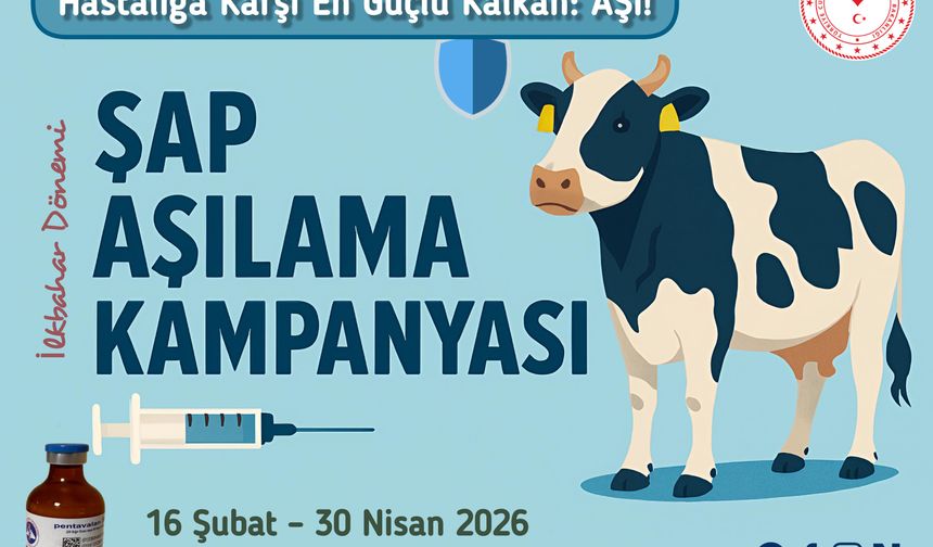2026 Yılı İlkbahar Dönemi Şap Aşılama Kampanyası Başladı