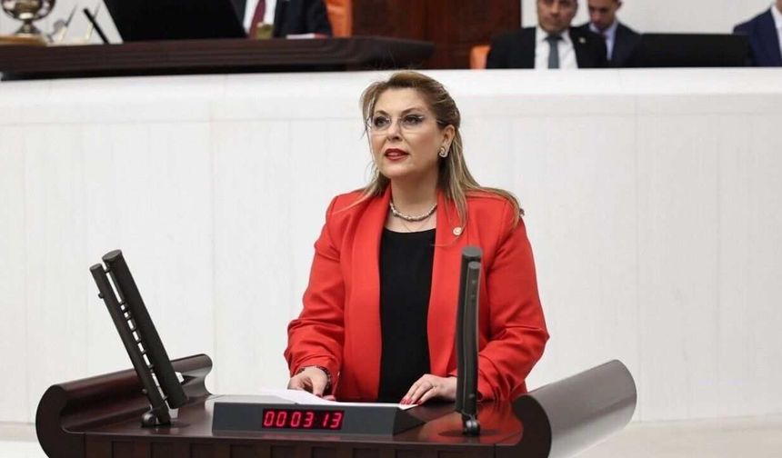 Milletvekili Elvan Işık Gezmiş: Ordu-Giresun Havalimanı Komşu Şehirlerin Gölgesinde Kalıyor