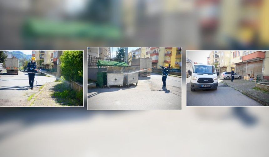 Giresun Belediyesi Kokarca İle Mücadeleye Başladı