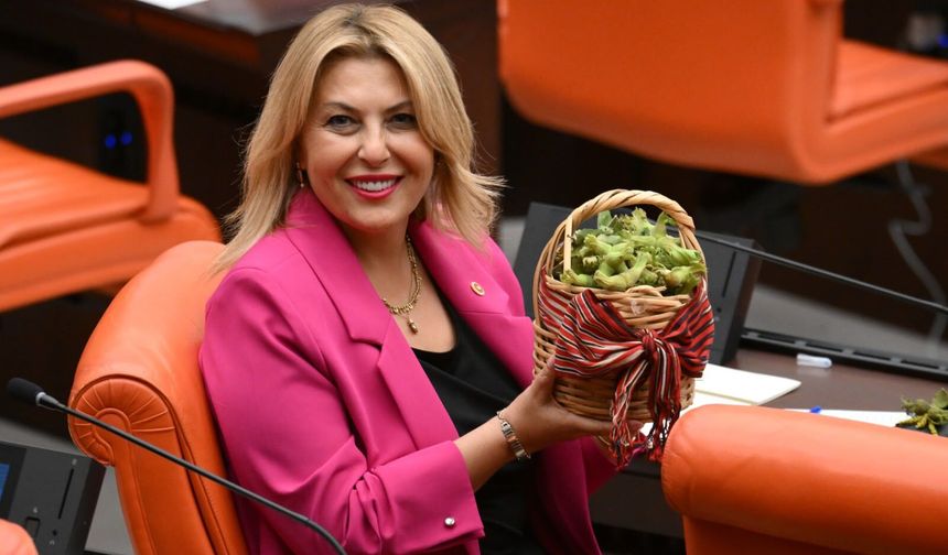 Fındık Sepeti ve Kara Lastik TBMM'in Gündeminde