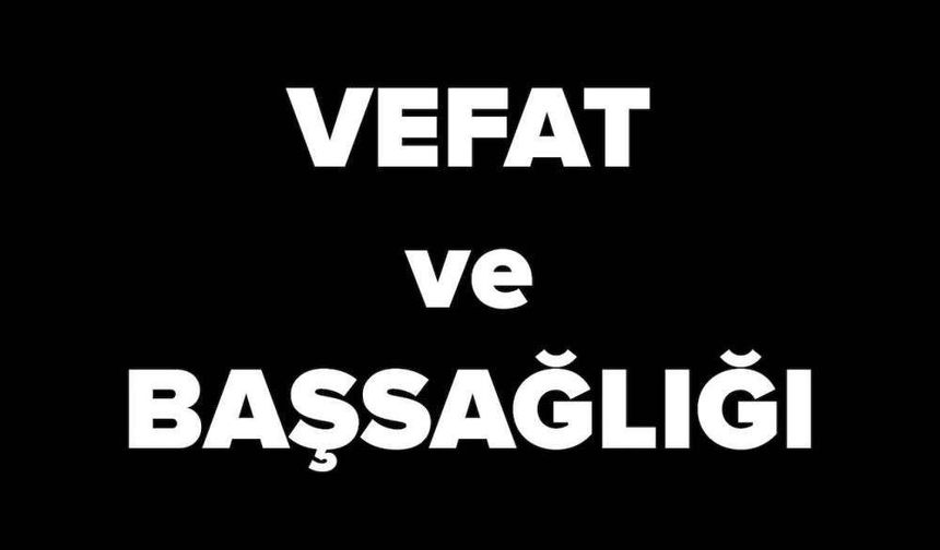 Giresunlu Bir Çınarımız Prof. Özer Sezgin'i Kaybettik