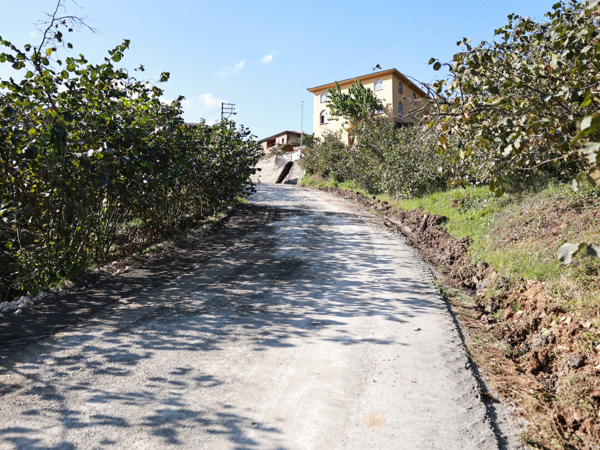 Whats App Image 2025 09 17 At 16.50.28 1 2048X1537