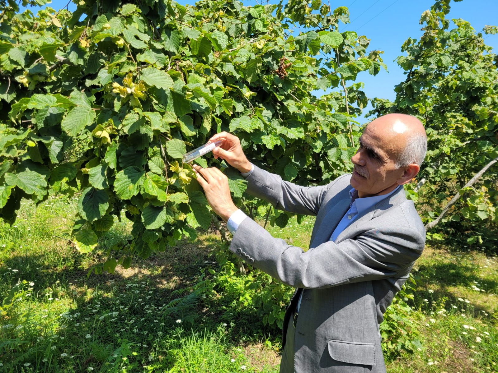 Whatsapp Image 2025 10 24 At 12.08.09