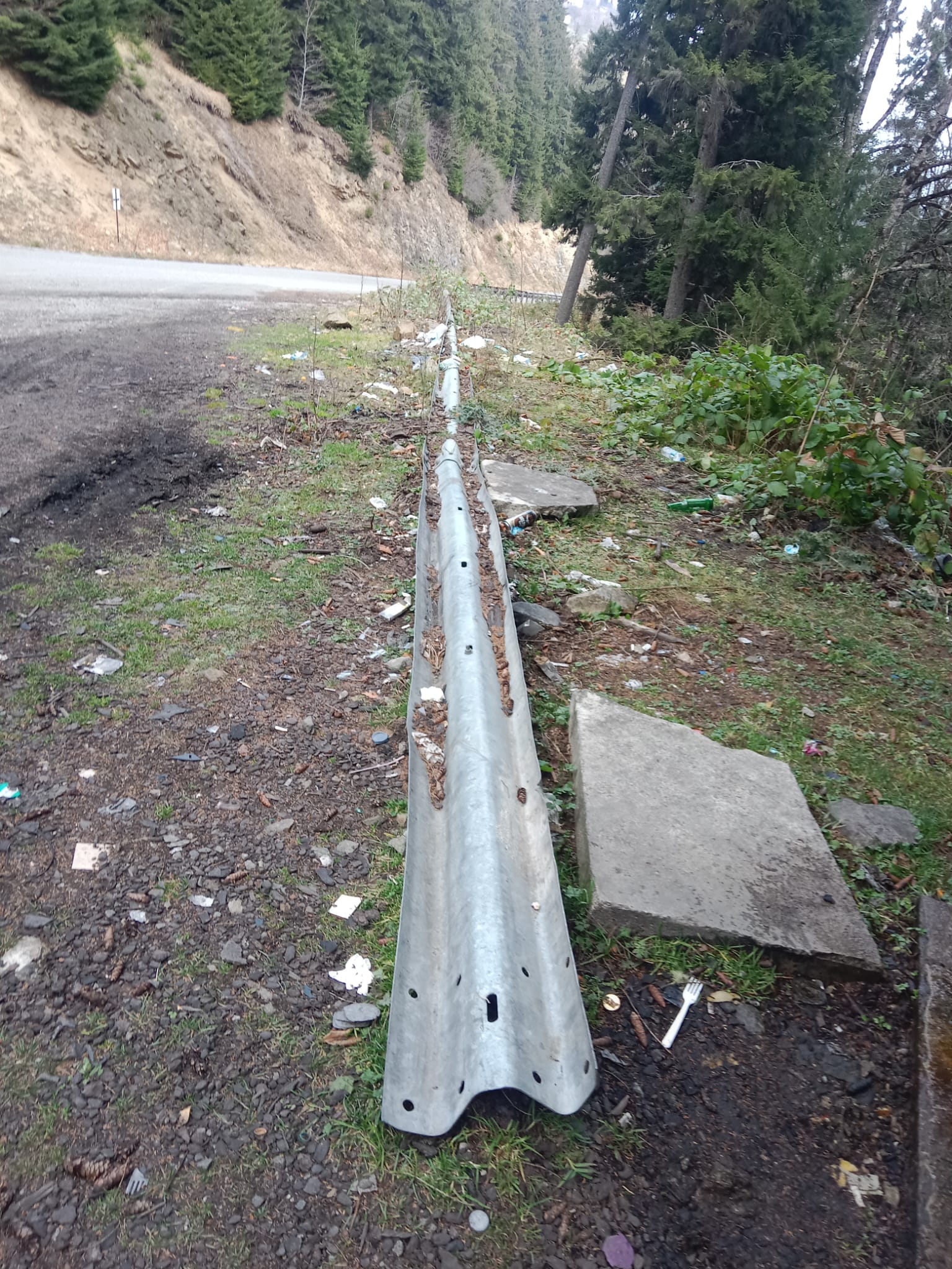 595657655 25758884747036844 2972013801722401568 N