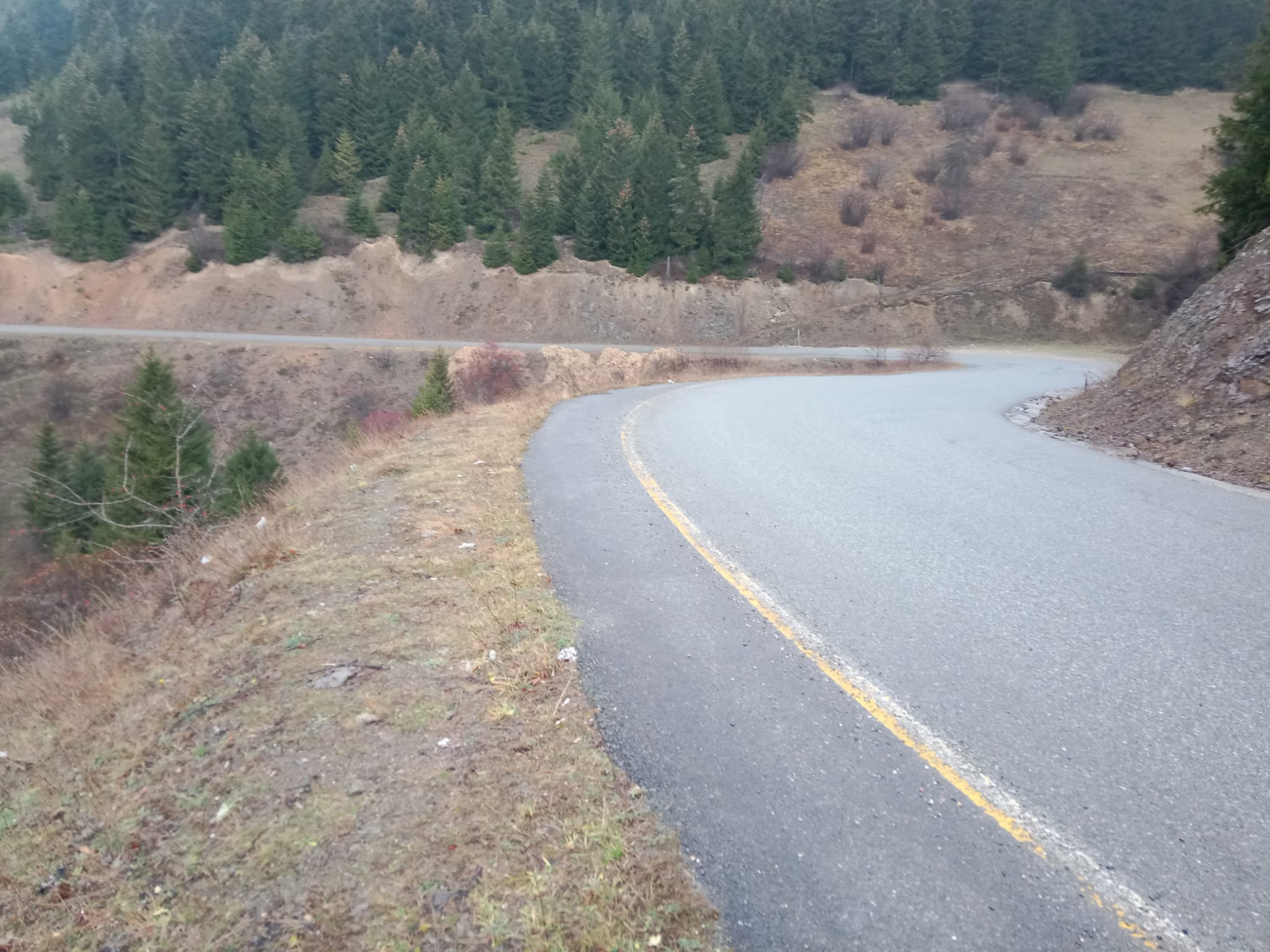 598556143 25758887210369931 3000173161164521697 N