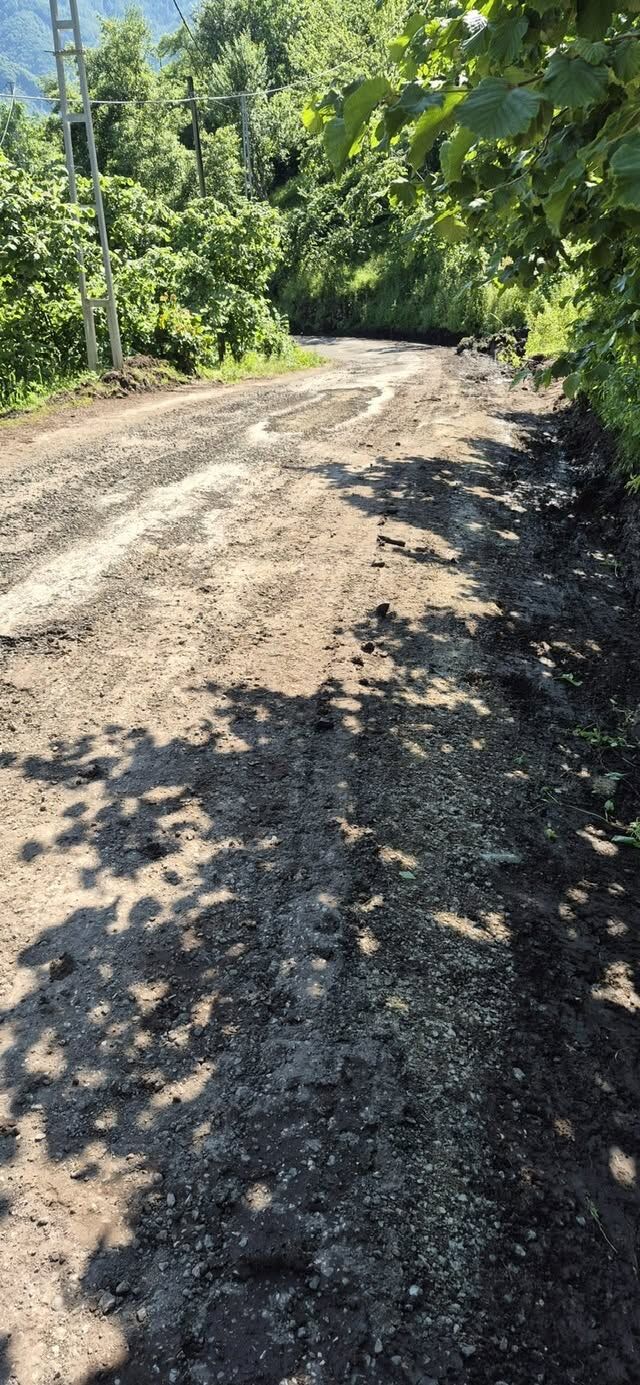 725733650 27731912203067412 2625885868069938161 N